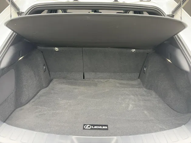 Lexus UX 300e Excellence elektrisch 54,3 kWh