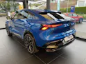 Renault Rafale 1.2 E-Tech esprit Alpin