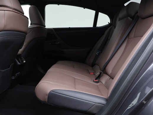 LEXUS ES 300h Excellence 3