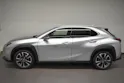 Lexus UX 250h Comfort - Ruote invernali & Servizi inclusi - Tasso leasing 1.99%!