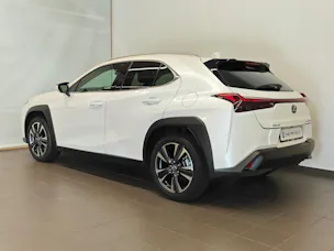 Lexus UX 250h Comfort - Ruote invernali & Servizi inclusi - Tasso leasing 1.99%