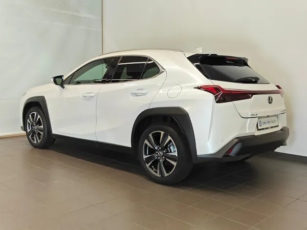Lexus UX 250h Comfort - Ruote invernali & Servizi inclusi - Tasso leasing 1.99%