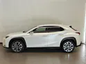 Lexus UX 250h Comfort - Ruote invernali & Servizi inclusi - Tasso leasing 1.99%