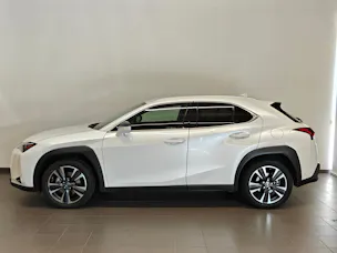 Lexus UX 250h Comfort - Ruote invernali & Servizi inclusi - Tasso leasing 1.99%