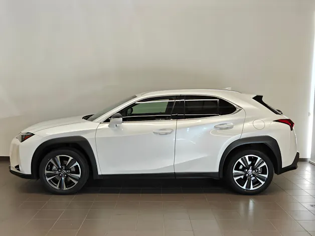 Lexus UX 250h Comfort - Ruote invernali & Servizi inclusi - Tasso leasing 1.99%