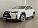 Lexus UX 250h Comfort - Ruote invernali & Servizi inclusi - Tasso leasing 1.99%