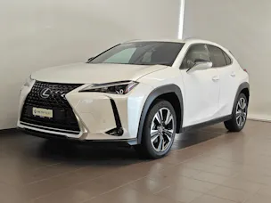 Lexus UX 250h Comfort - Ruote invernali & Servizi inclusi - Tasso leasing 1.99%