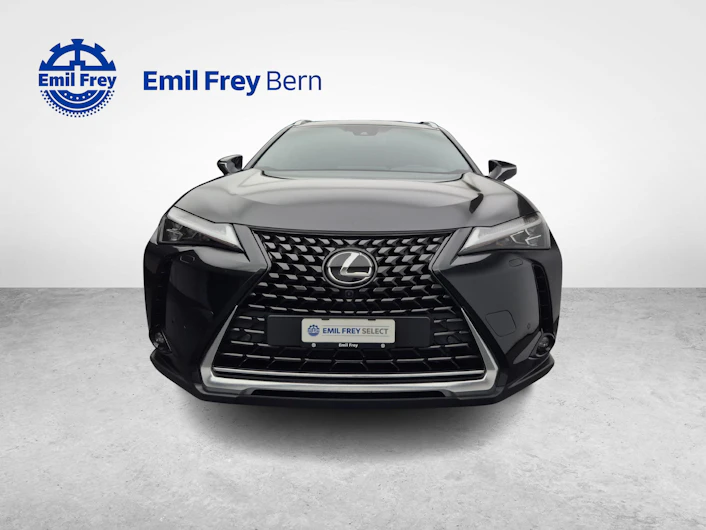 Fahrzeugbild LEXUS UX