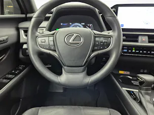 Lexus UX 250h Excellence