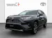 Toyota RAV4 2.5 HSD Trend