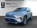 Toyota RAV4 2.5 HSD Trend