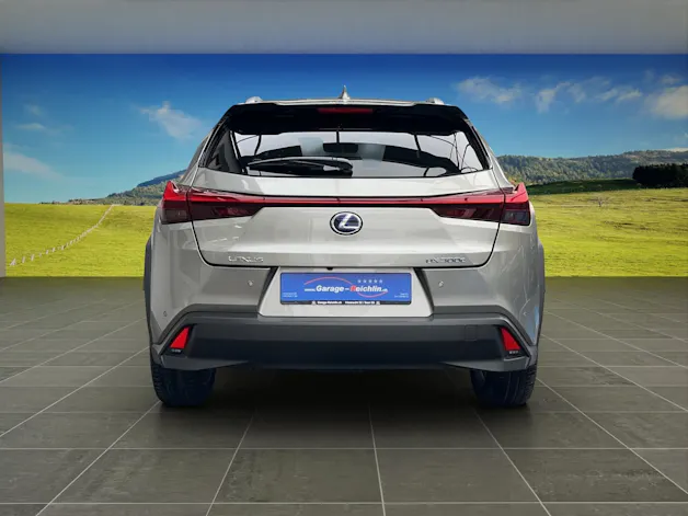 Lexus UX 300e Excellence elektrisch 54,3 kWh