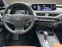 Lexus UX 300e Excellence elektrisch 54,3 kWh
