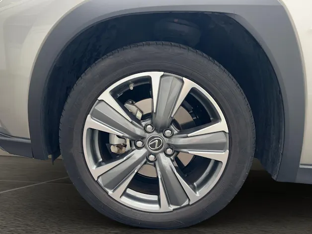 Lexus UX 300e Excellence elektrisch 54,3 kWh