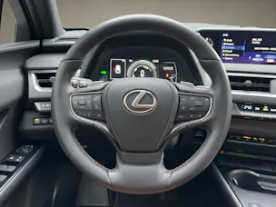 Lexus UX 300e Excellence elektrisch 54,3 kWh