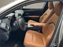 Lexus UX 300e Excellence elektrisch 54,3 kWh