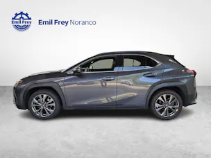 Lexus UX 250h F-Line - Ruote invernali incluse nel prezzo