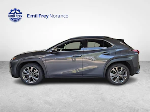 Fahrzeugbild LEXUS UX 250h F-Line - Ruote invernali incluse nel prezzo