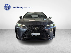 Fahrzeugbild LEXUS UX 250h F-Line - Ruote invernali incluse nel prezzo