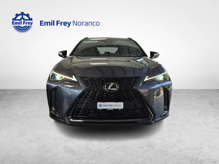 Fahrzeugbild LEXUS UX