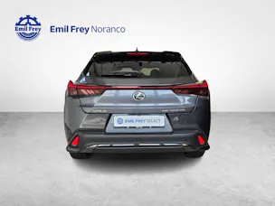 Lexus UX 250h F-Line - Ruote invernali incluse nel prezzo