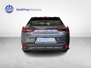 Fahrzeugbild LEXUS UX 250h F-Line - Ruote invernali incluse nel prezzo