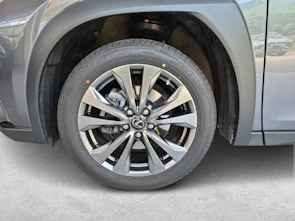 Fahrzeugbild LEXUS UX 250h F-Line - Ruote invernali incluse nel prezzo