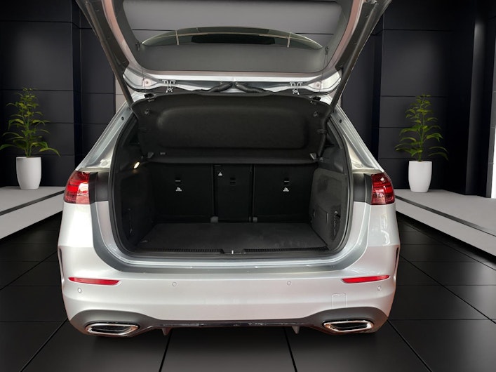 Vehicle image MERCEDES-BENZ B 250