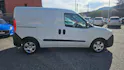 Opel Combo Van 2.2 t L1 H1 1.3 CDTi