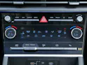 Hyundai Santa Fe 1.6 T-GDi HEV Calligraphy