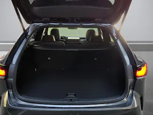 Lexus RX 450h+ Comfort