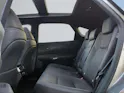 Lexus RX 450h+ Excellence