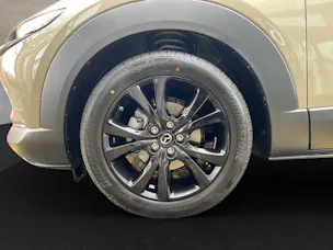 Mazda CX-30 eSX186 AWD AT Nagisa