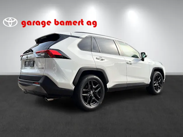 Toyota RAV4 2.5 HSD Trend