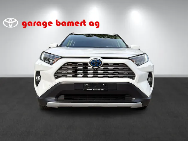 Toyota RAV4 2.5 HSD Trend