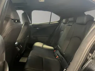 Lexus UX 300h F-Line