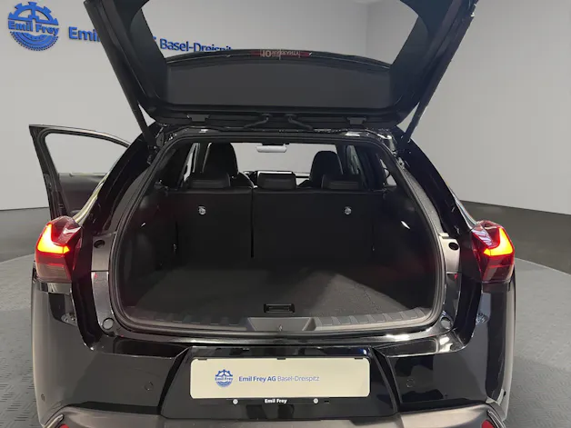 Lexus UX 300h F-Line