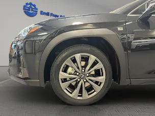 Lexus UX 300h F-Line