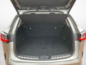 Fahrzeugbild LEXUS NX 450h+ Comfort