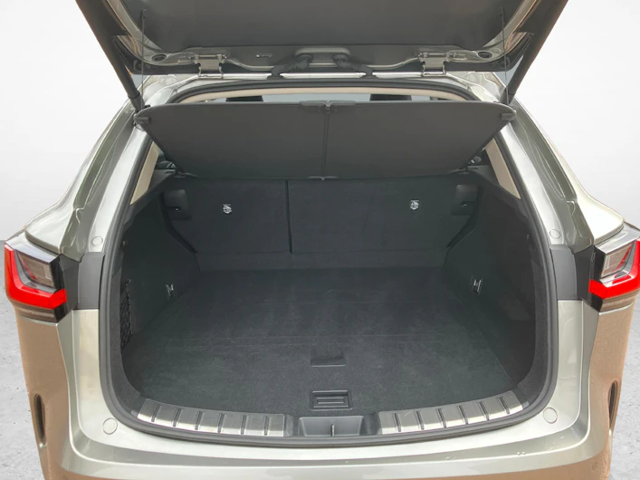Fahrzeugbild LEXUS NX