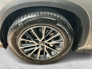 Fahrzeugbild LEXUS NX 450h+ Comfort