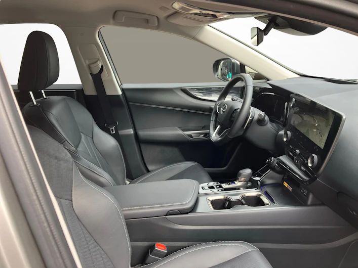 Fahrzeugbild LEXUS NX