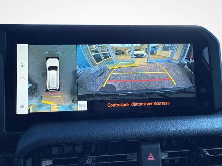 immagine del veicolo TOYOTA LANDCRUISER