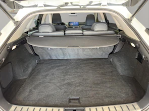 Fahrzeugbild LEXUS RX 450h X