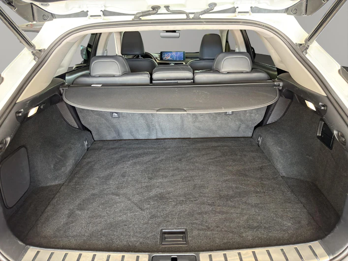 Fahrzeugbild LEXUS RX