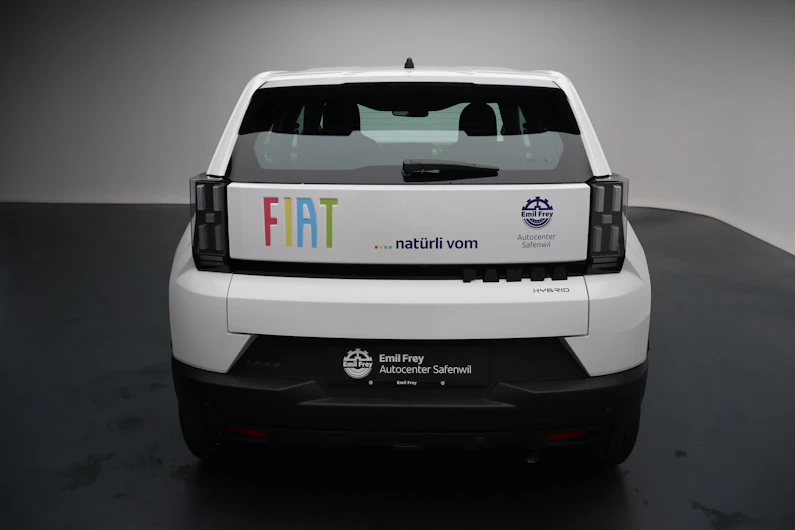 immagine del veicolo FIAT GRANDE PANDA