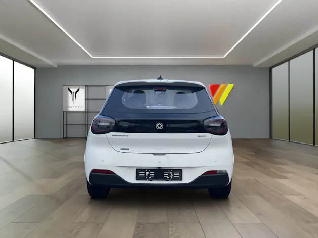 Dongfeng Box Electric