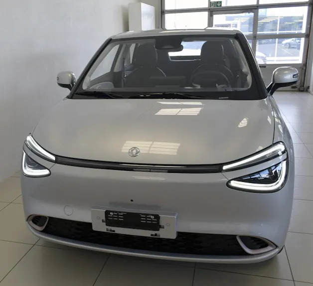 Dongfeng Box Electric
