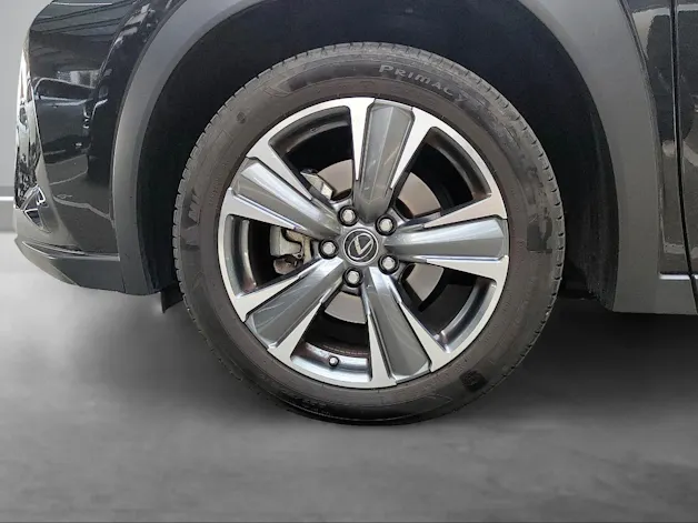 Lexus UX 300e Excellence