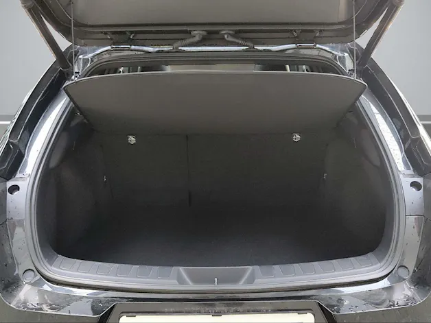 Lexus UX 300e Excellence